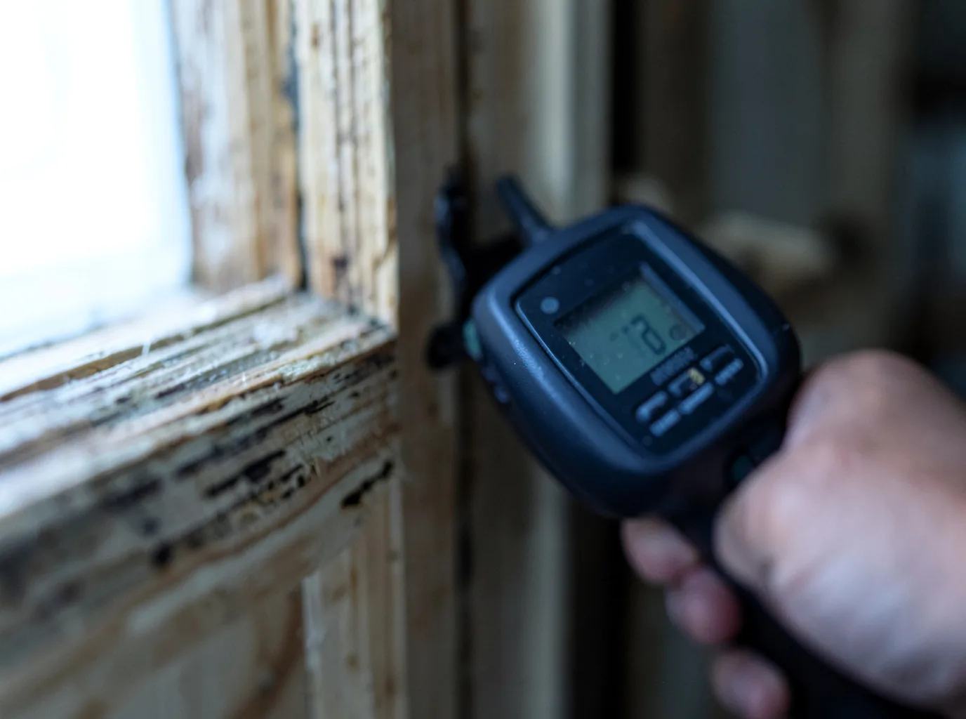 Moisture Inspection And Documentation in Mccalla, AL
